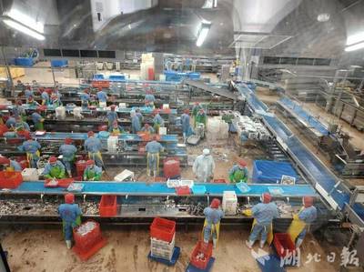 新理念、新模式、新產業--嘉魚縣水產養殖轉型升級創新模式